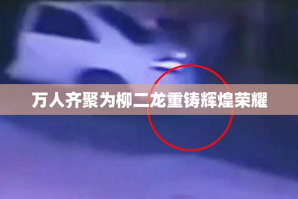 万人齐聚为柳二龙重铸辉煌荣耀