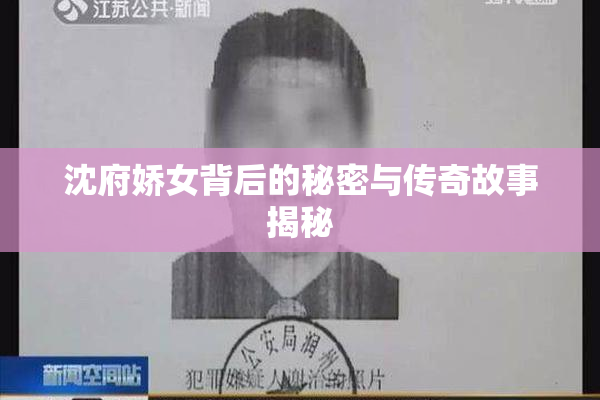 沈府娇女背后的秘密与传奇故事揭秘