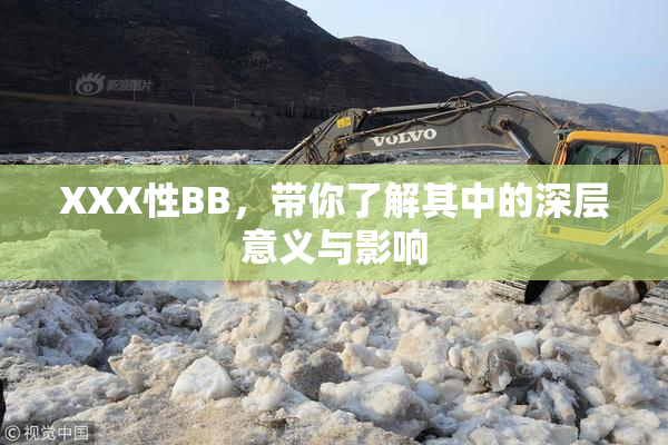 XXX性BB，带你了解其中的深层意义与影响