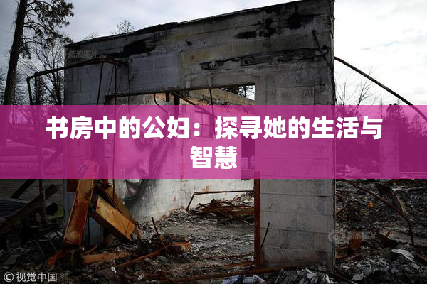 书房中的公妇：探寻她的生活与智慧