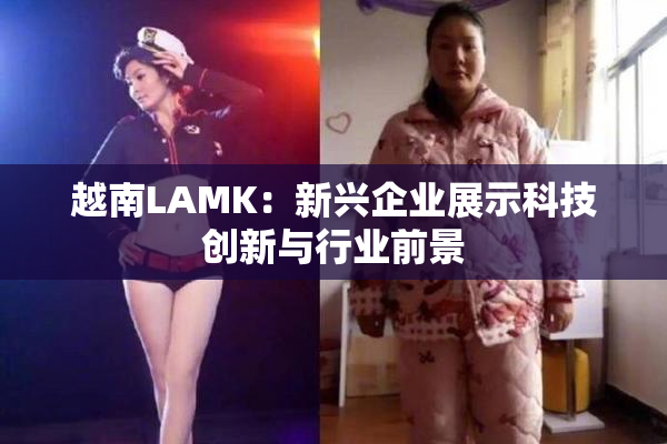 越南LAMK：新兴企业展示科技创新与行业前景