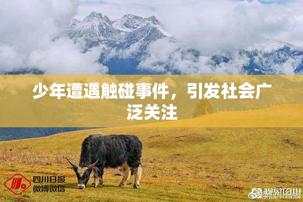 少年遭遇触碰事件，引发社会广泛关注