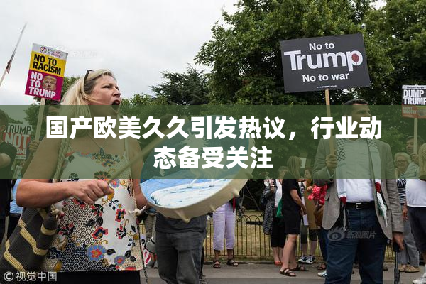 国产欧美久久引发热议，行业动态备受关注