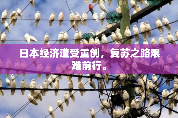 日本经济遭受重创，复苏之路艰难前行。