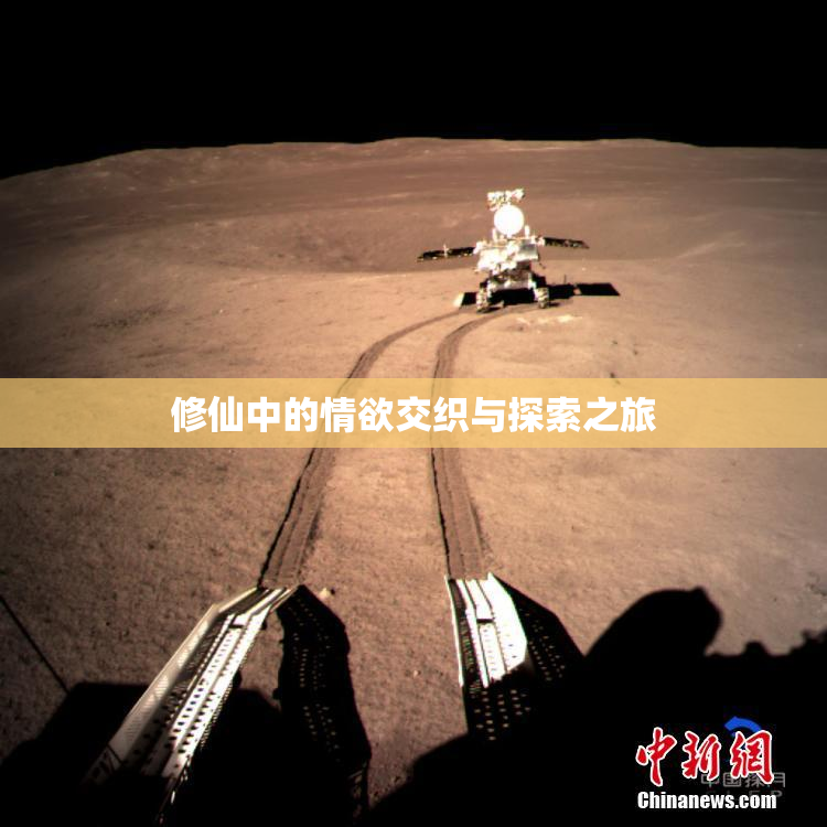 修仙中的情欲交织与探索之旅