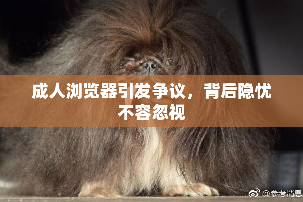 成人浏览器引发争议，背后隐忧不容忽视