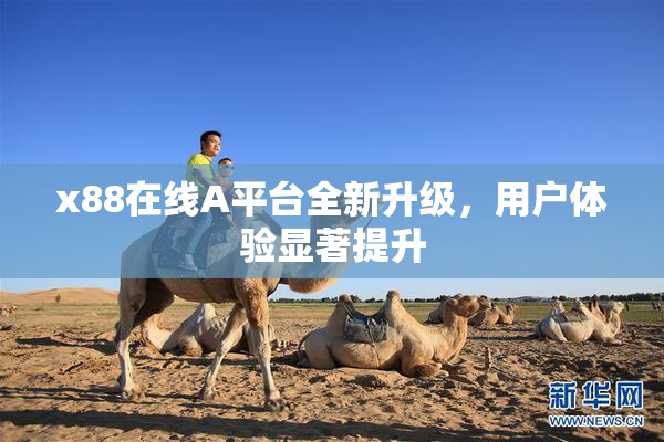 x88在线A平台全新升级，用户体验显著提升
