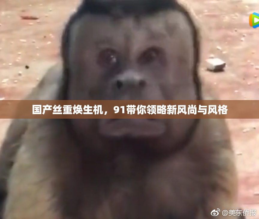 国产丝重焕生机，91带你领略新风尚与风格