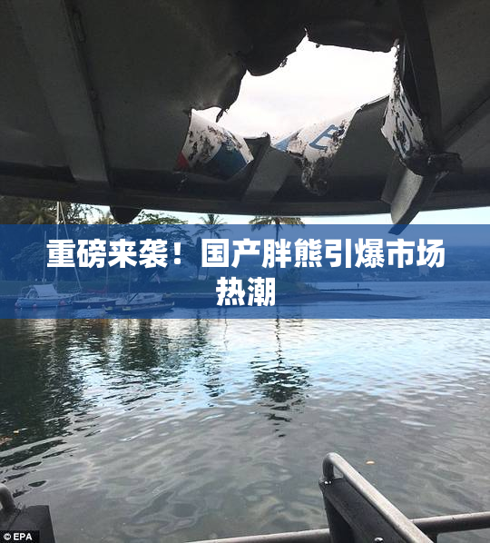 重磅来袭！国产胖熊引爆市场热潮