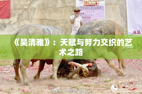 《吴清雅》：天赋与努力交织的艺术之路