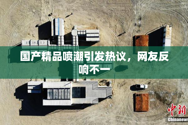 国产精品喷潮引发热议，网友反响不一