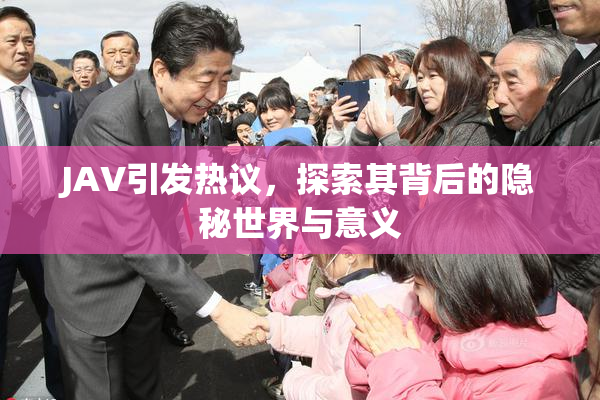 JAV引发热议，探索其背后的隐秘世界与意义