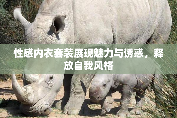 性感内衣套装展现魅力与诱惑，释放自我风格