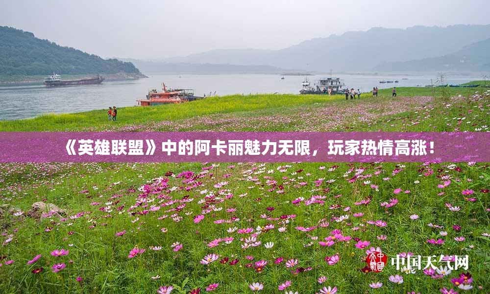 《英雄联盟》中的阿卡丽魅力无限，玩家热情高涨！