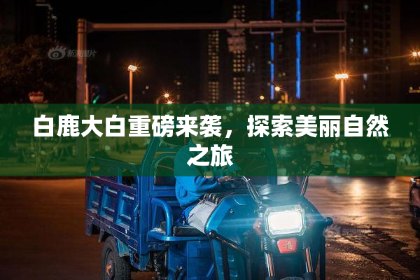 白鹿大白重磅来袭，探索美丽自然之旅