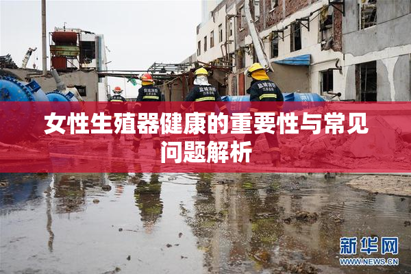 女性生殖器健康的重要性与常见问题解析