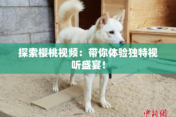 探索樱桃视频：带你体验独特视听盛宴！