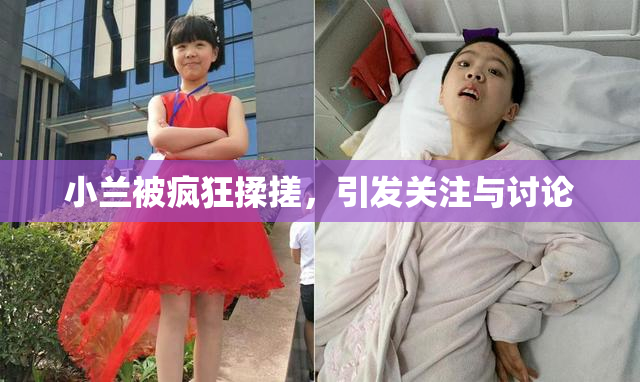 小兰被疯狂揉搓，引发关注与讨论