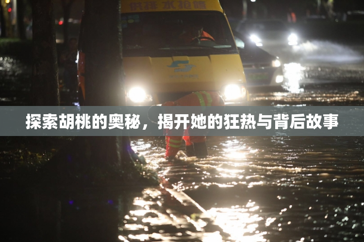 探索胡桃的奥秘，揭开她的狂热与背后故事