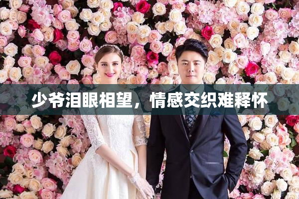 少爷泪眼相望，情感交织难释怀
