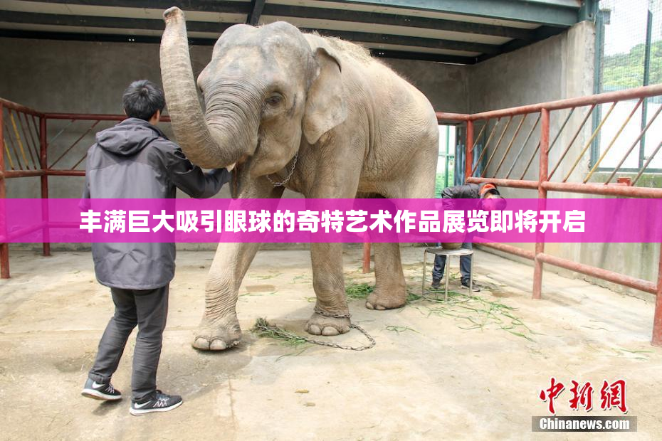 丰满巨大吸引眼球的奇特艺术作品展览即将开启