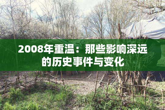 2008年重温：那些影响深远的历史事件与变化