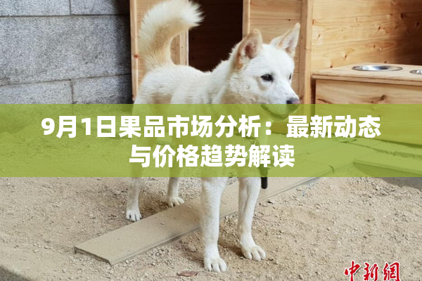 9月1日果品市场分析：最新动态与价格趋势解读