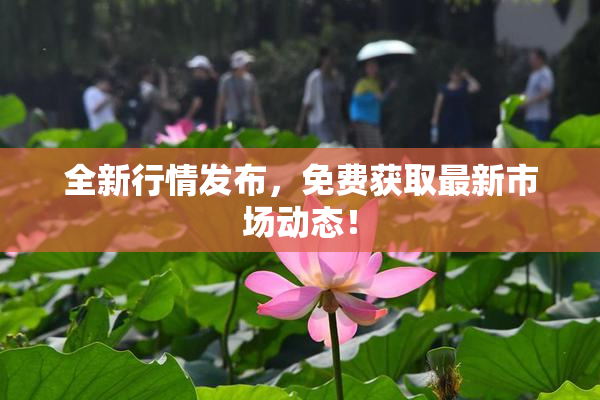 全新行情发布，免费获取最新市场动态！