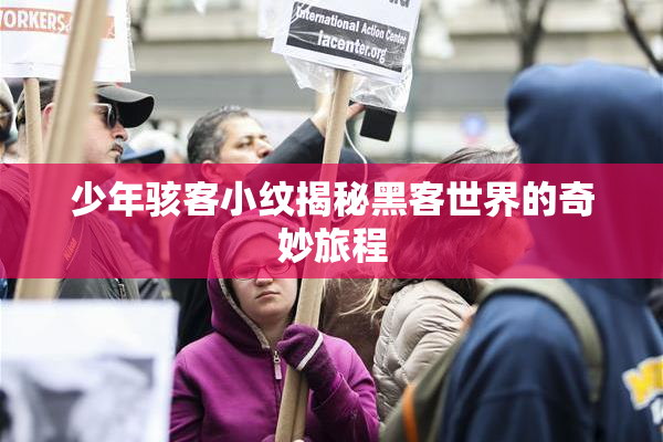少年骇客小纹揭秘黑客世界的奇妙旅程