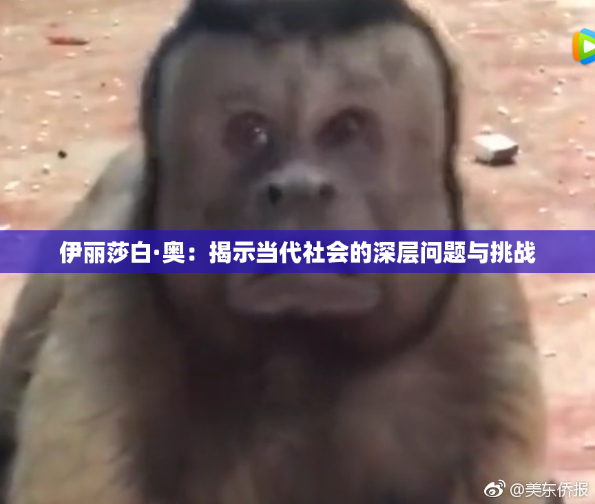 伊丽莎白·奥：揭示当代社会的深层问题与挑战