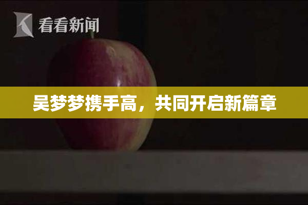 吴梦梦携手高，共同开启新篇章