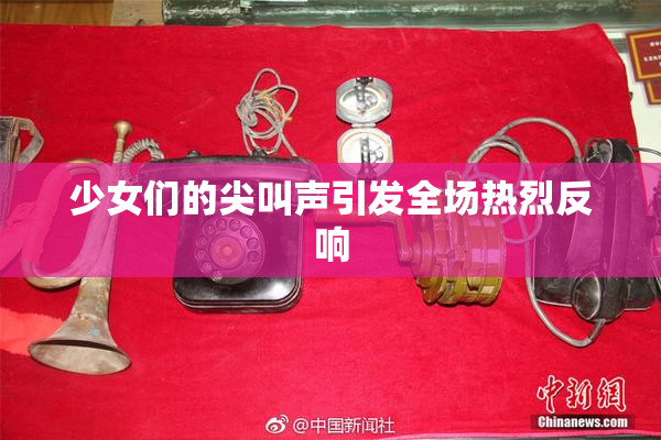 少女们的尖叫声引发全场热烈反响