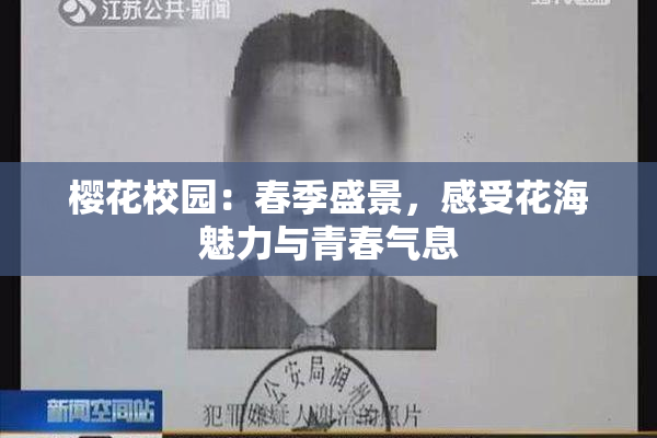 樱花校园：春季盛景，感受花海魅力与青春气息