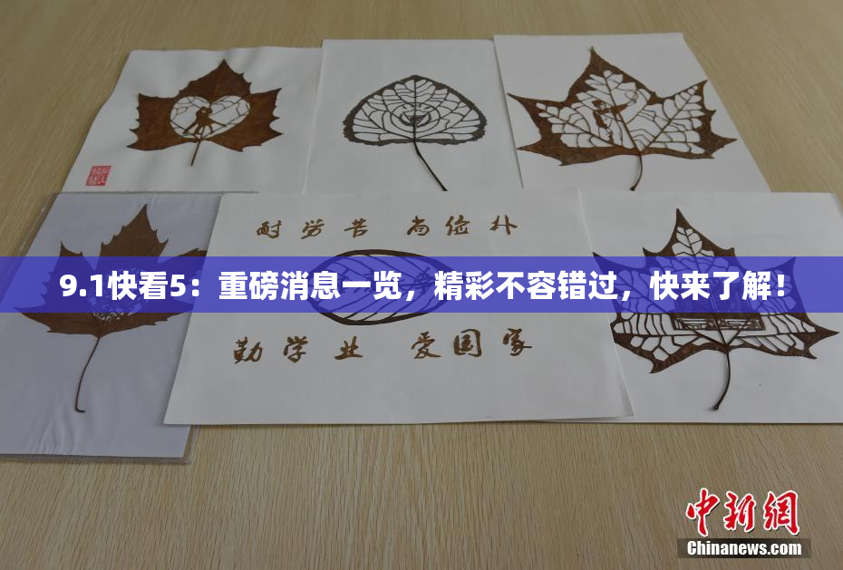9.1快看5：重磅消息一览，精彩不容错过，快来了解！