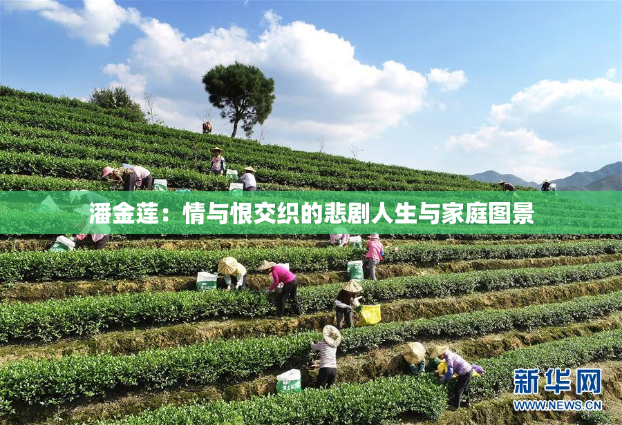 潘金莲：情与恨交织的悲剧人生与家庭图景