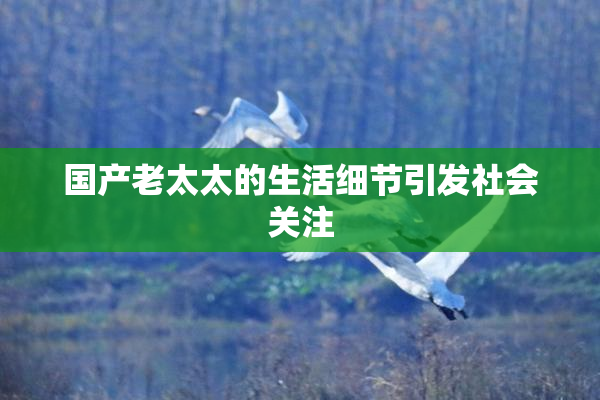 国产老太太的生活细节引发社会关注