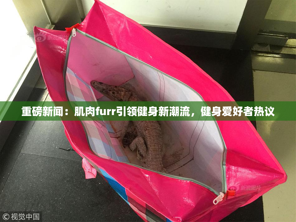 重磅新闻：肌肉furr引领健身新潮流，健身爱好者热议