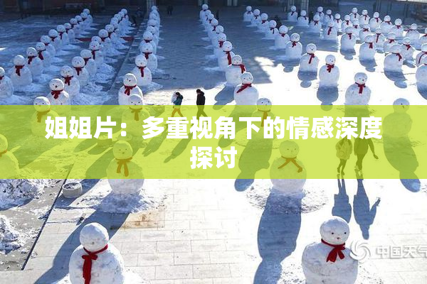 姐姐片：多重视角下的情感深度探讨