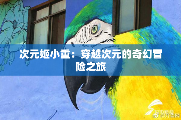 次元姬小重：穿越次元的奇幻冒险之旅