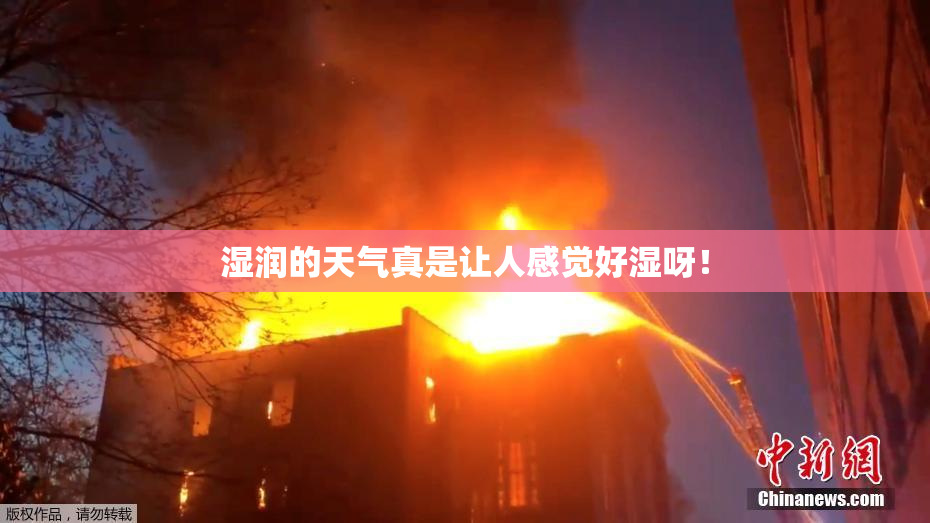 湿润的天气真是让人感觉好湿呀！