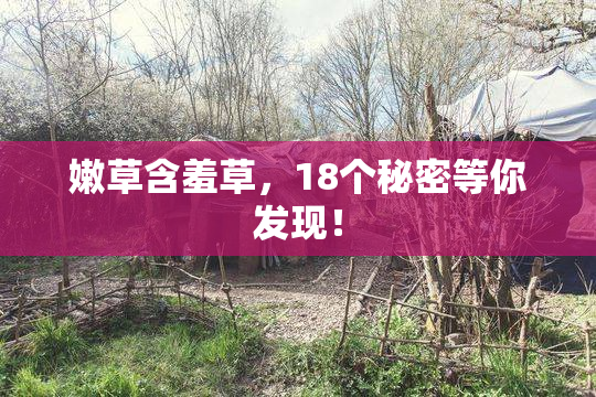 嫩草含羞草，18个秘密等你发现！