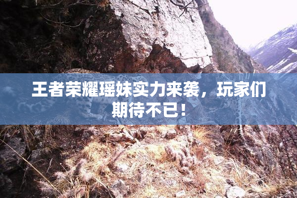 王者荣耀瑶妹实力来袭，玩家们期待不已！