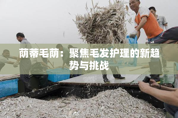 荫蒂毛荫：聚焦毛发护理的新趋势与挑战