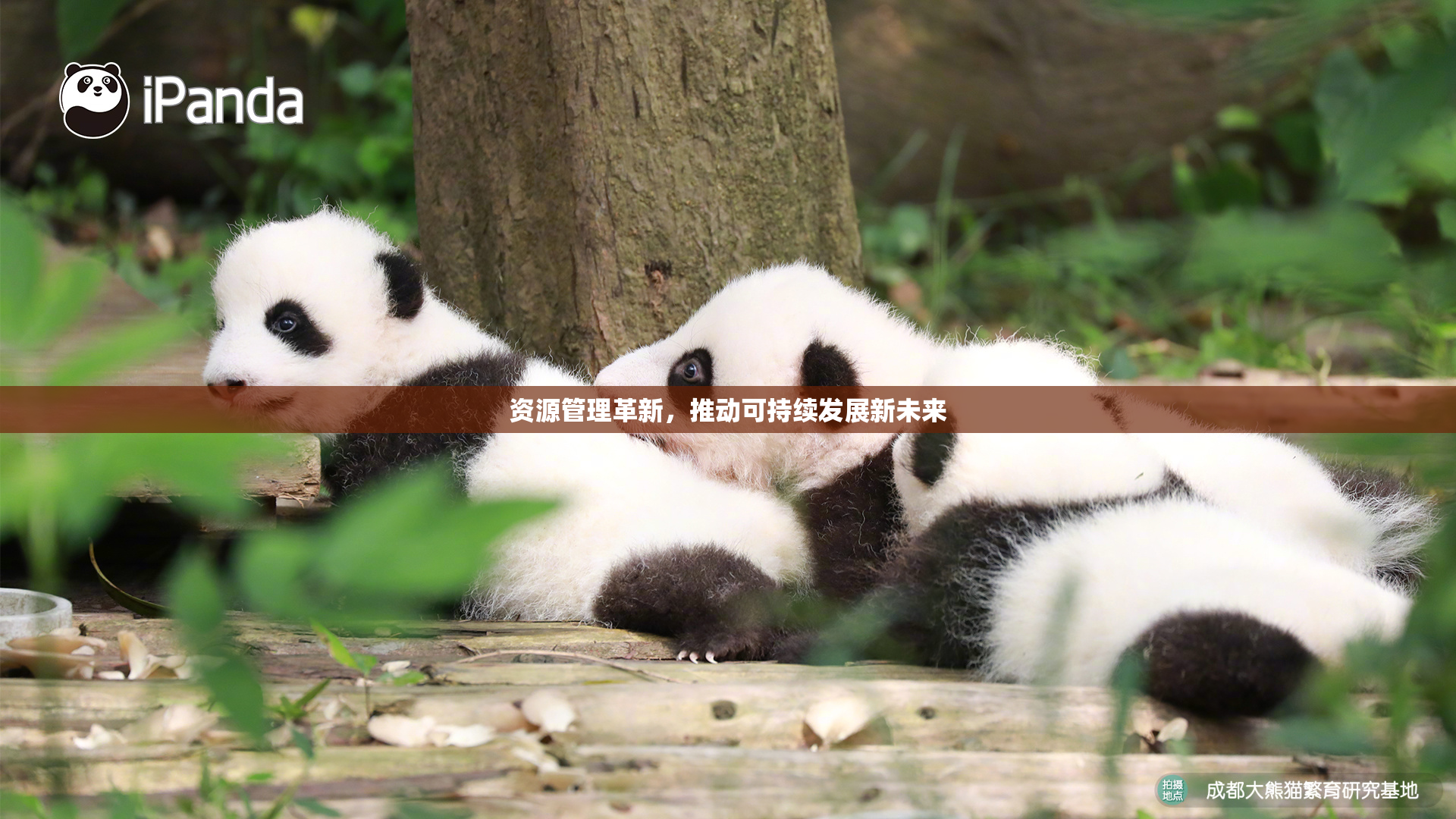 资源管理革新，推动可持续发展新未来