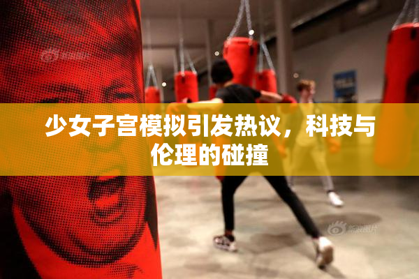 少女子宫模拟引发热议，科技与伦理的碰撞