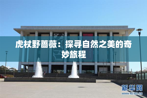 虎杖野蔷薇：探寻自然之美的奇妙旅程
