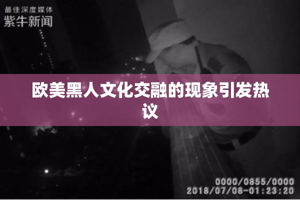 欧美黑人文化交融的现象引发热议