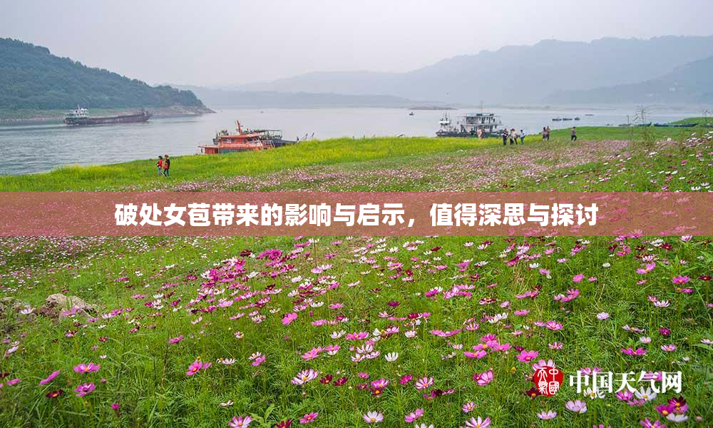 破处女苞带来的影响与启示，值得深思与探讨