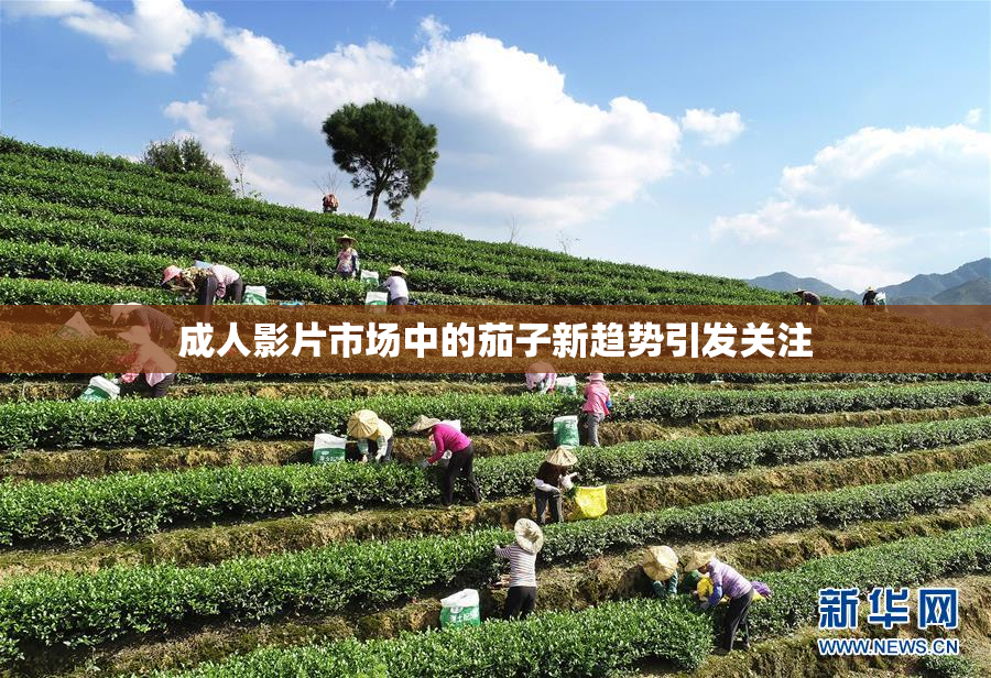 成人影片市场中的茄子新趋势引发关注