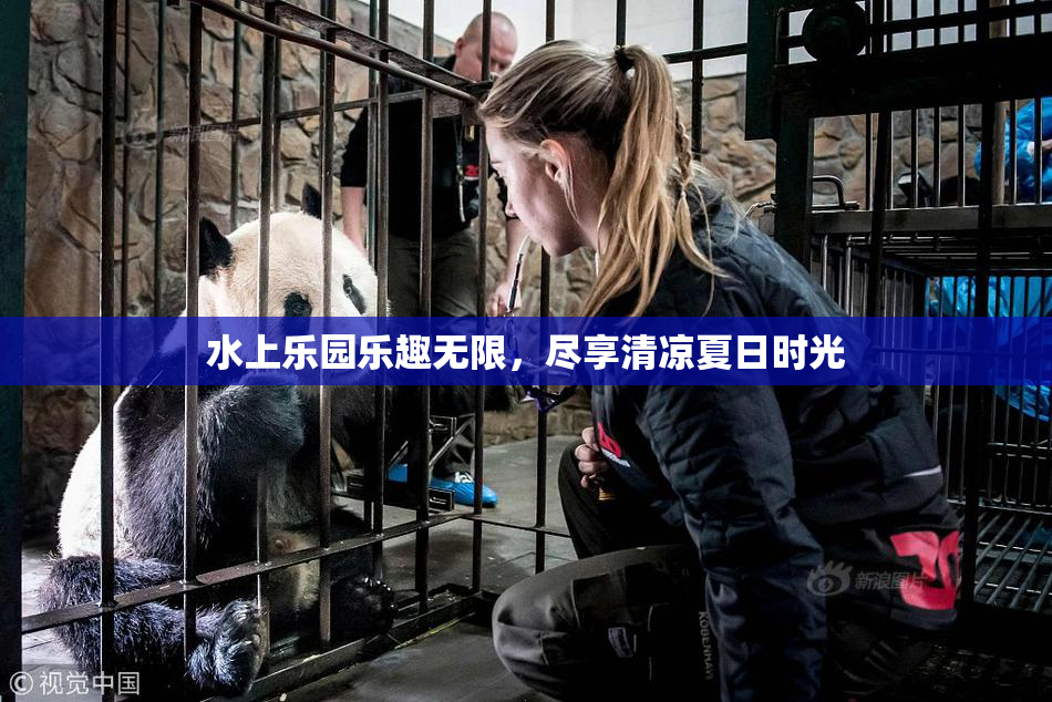 水上乐园乐趣无限，尽享清凉夏日时光
